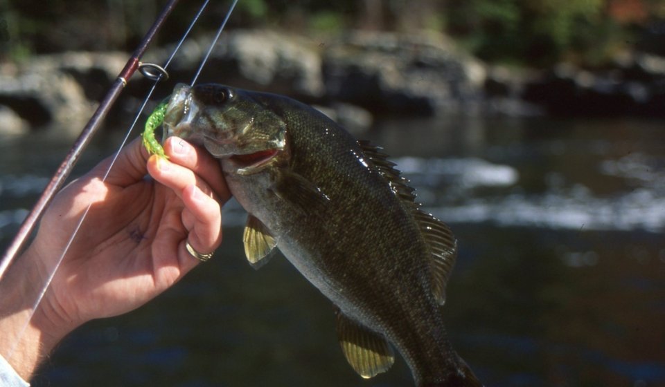 Fishing image HD.jpg Original2377